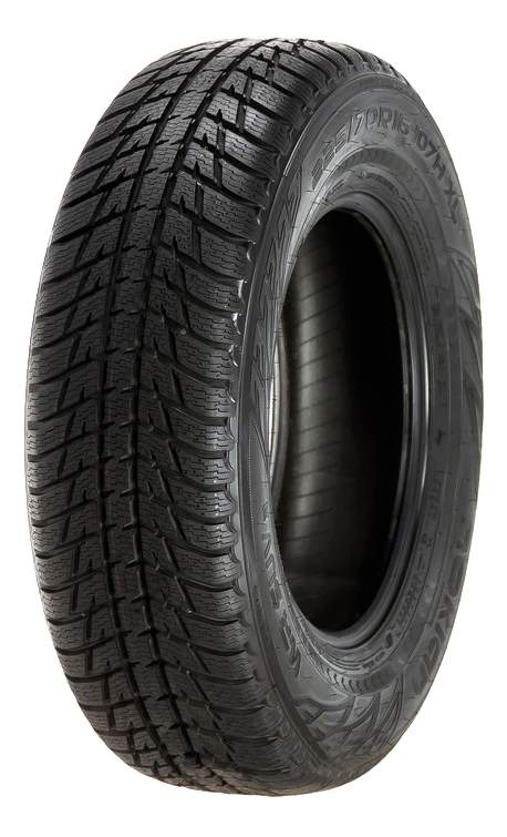 WR SUV 3 225/60 R17 99V Зимняя Легковая