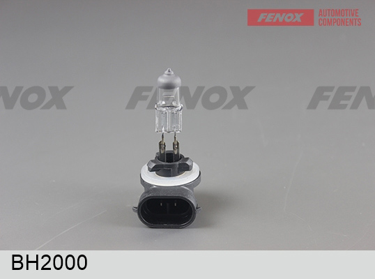 Фотография Fenox BH2000