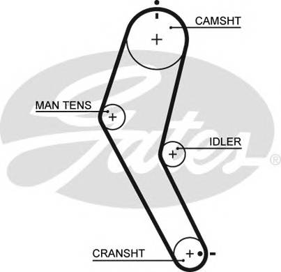 РЕМЗУБЧ 104-8MM-832X16 Фотография Gates 5422