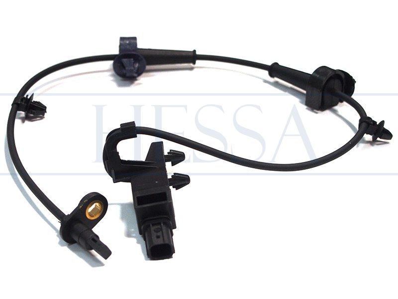 Фотография Hessa 00X4995