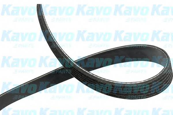 Фотография Kavo Parts DMV6519