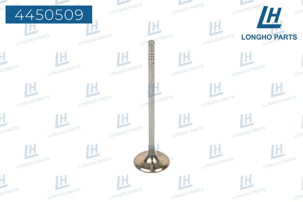 Фотография Longho 4450509