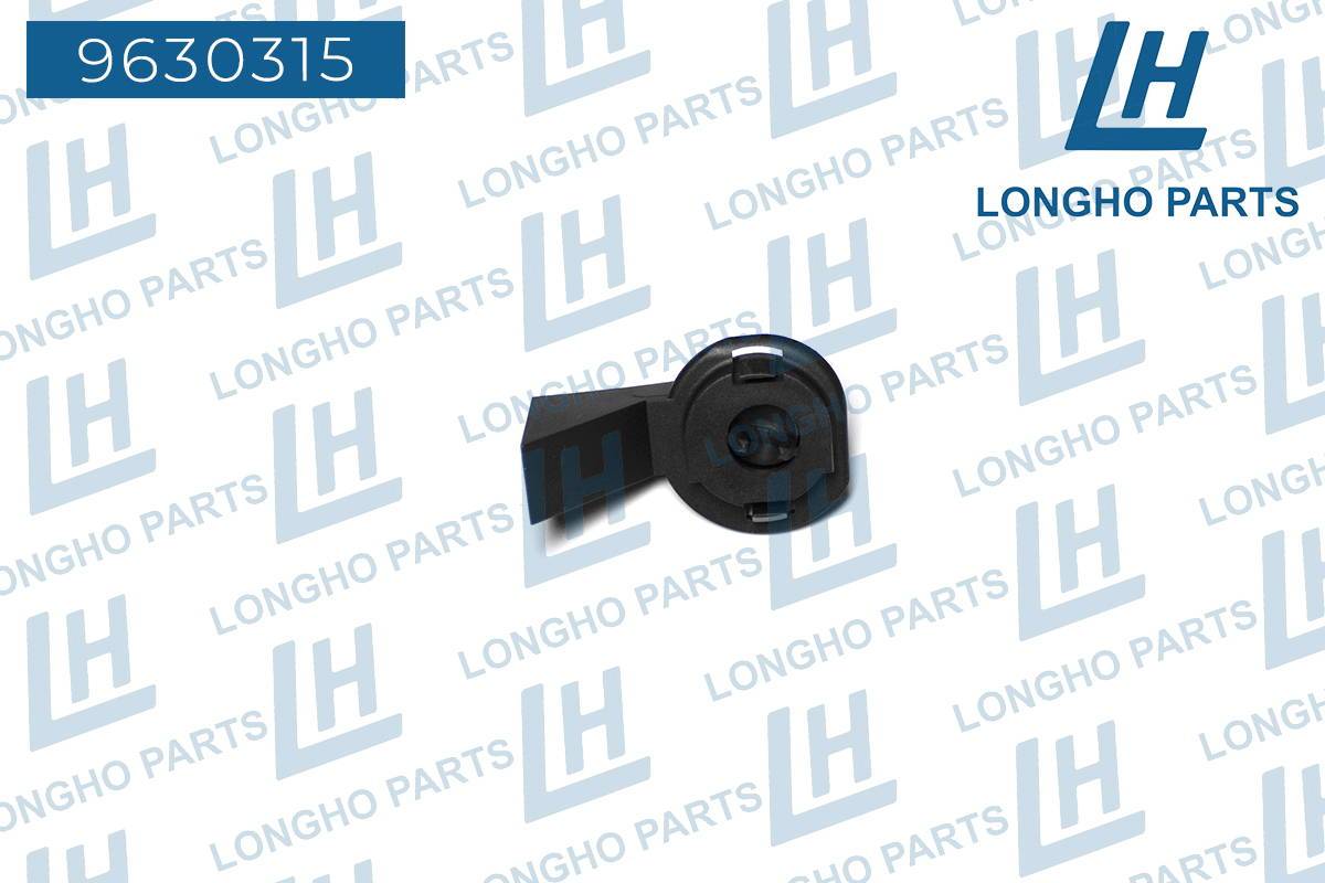 Фотография Longho 9630315