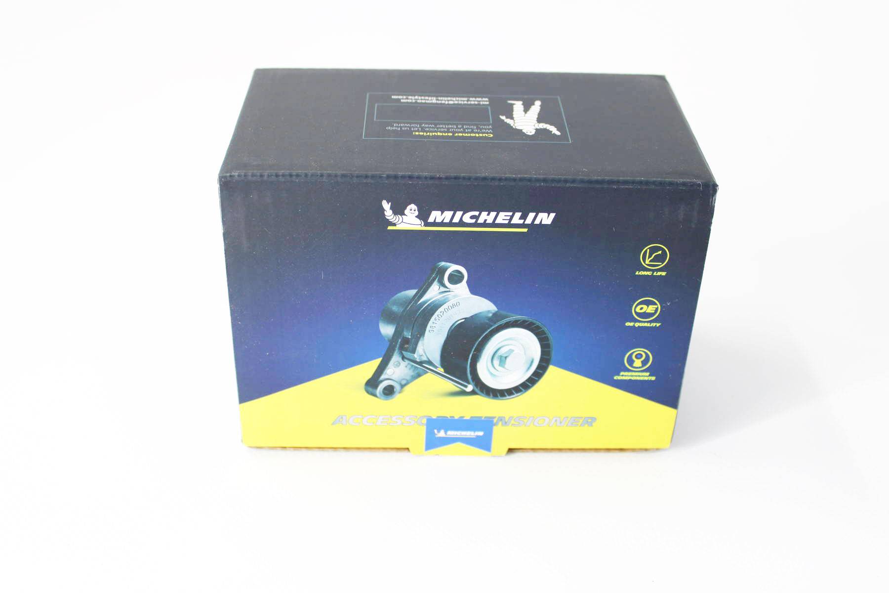 Фотография MICHELIN FMMT04749