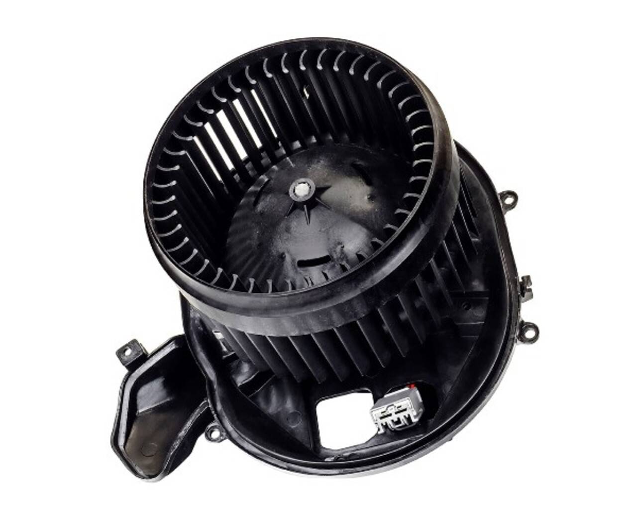 Фотография SAILING VVLZD172208